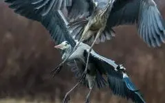 Wystawa fotografii Adama Kota 3