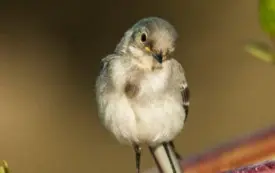 Wystawa fotografii Adama Kota 2