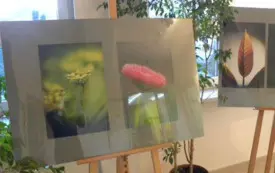 Wystawa fotografii Ewy Walickiej 3