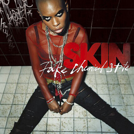 Zdjęcie do SKIN (SKUNK ANANSIE) - Fake Chemical State