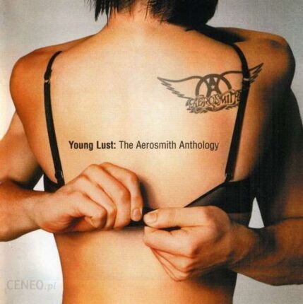 Zdjęcie do AEROSMITH - Young Lust: The Aerosmith Anthology