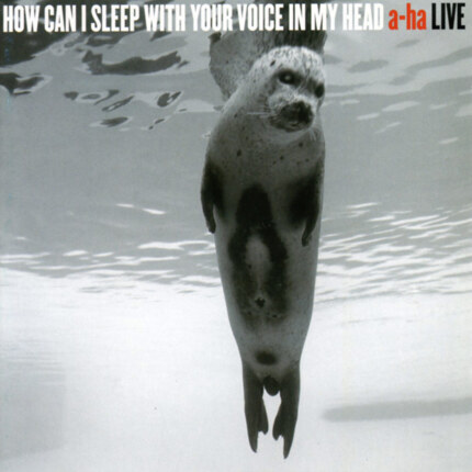 Zdjęcie do A-HA - How Can I Sleep With Your Voice In My Head - Live