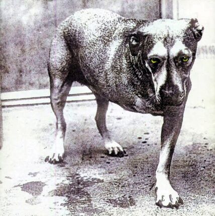 ALICE IN CHAINS - Alice In Chains. Okładka płyty