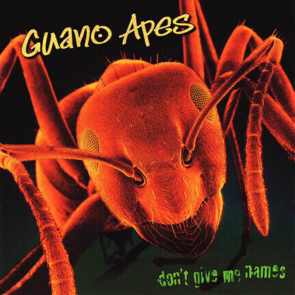 Zdjęcie do GUANO APES - Don't Give Me Names