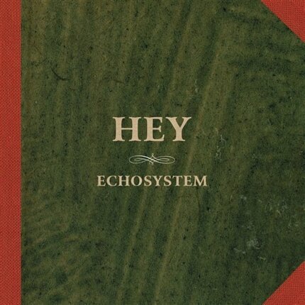 Zdjęcie do HEY - Echosystem