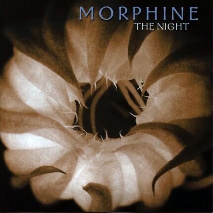 Zdjęcie do MORPHINE  - Night