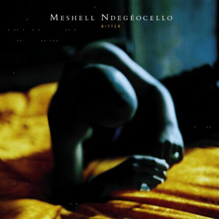 Zdjęcie do NDEGEOCELLO MESHELL  - Bitter