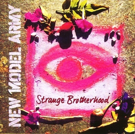 Zdjęcie do NEW MODEL ARMY - Strange Broterhood