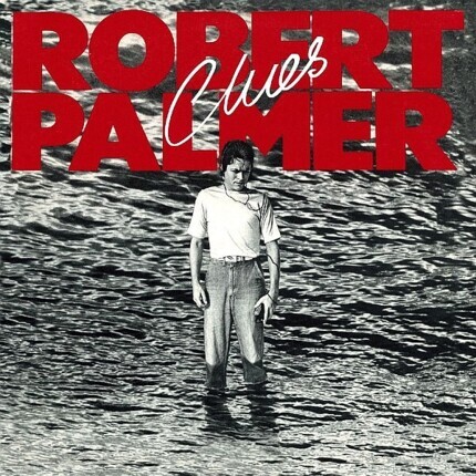 Zdjęcie do PALMER ROBERT - Clues