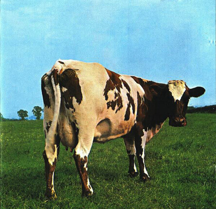 Zdjęcie do PINK FLOYD - Atom Heart Mother