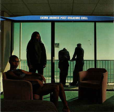 Zdjęcie do SKUNK ANANSIE - Post Orgasmic Chill
