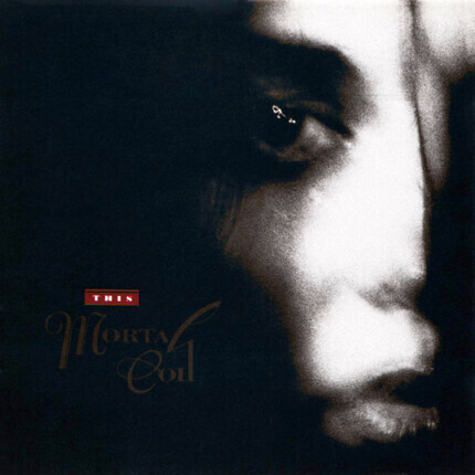 THIS MORTAL COIL - Filigree & Shadow. Okładka płyty
