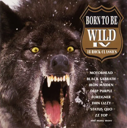 Born To Be Wild IV. Okładka płyty