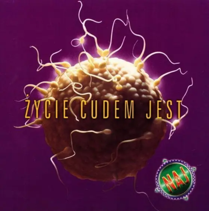 Życie cudem jest. Okładka płyty