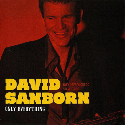 Zdjęcie do SANBORN DAVID - Only Everything