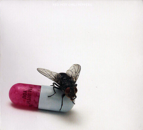 Zdjęcie do RED HOT CHILI PEPPERS - I'm With You