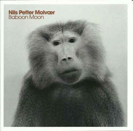 Zdjęcie do MOLVAER NILS PETER - Baboon Moon