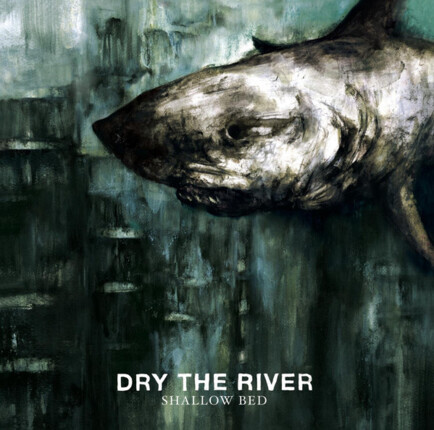 Zdjęcie do DRY THE RIVER - Shallow Bed