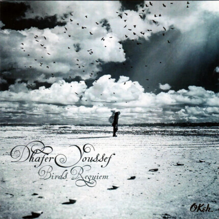 Zdjęcie do YOUSSEF DHAFER - Birds Requiem
