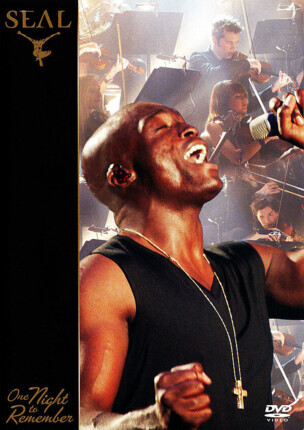 Zdjęcie do SEAL - One Night To Remember