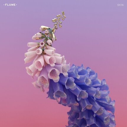 FLUME - Skin. Okładka płyty