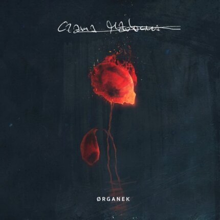 ORGANEK - Czarna Madonna. Okładka płyty
