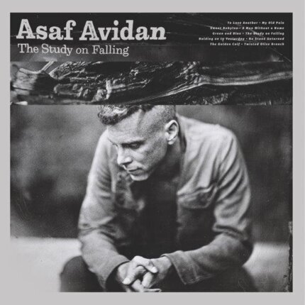 AVIDAN ASAF - Study On Falling. Okładka płyty