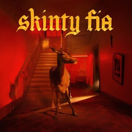 FONTAINES D.C. - Skinty Fia. Okładka płyty