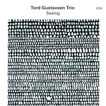 GUSTAVSEN TORD TRIO - Seeing. Okładka płyty