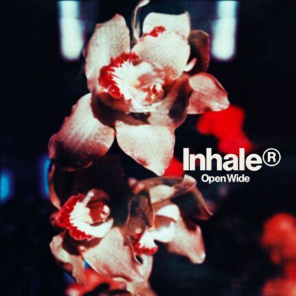 INHALER - Open Wide. Okładka płyty