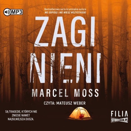 MOSS MARCEL – ECHO 2. ZAGINIENI. okładka książki audio