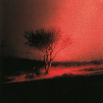 Joji - Piss In The Wind. okładka płyty CD