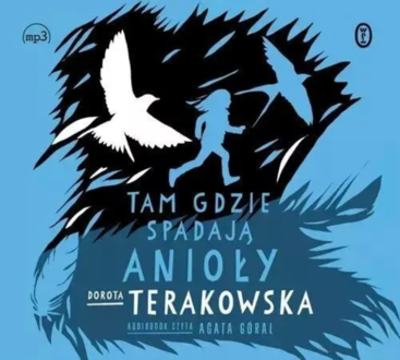 Terakowska Dorota - Tam gdzie spadają Anioły. okładka książki audio