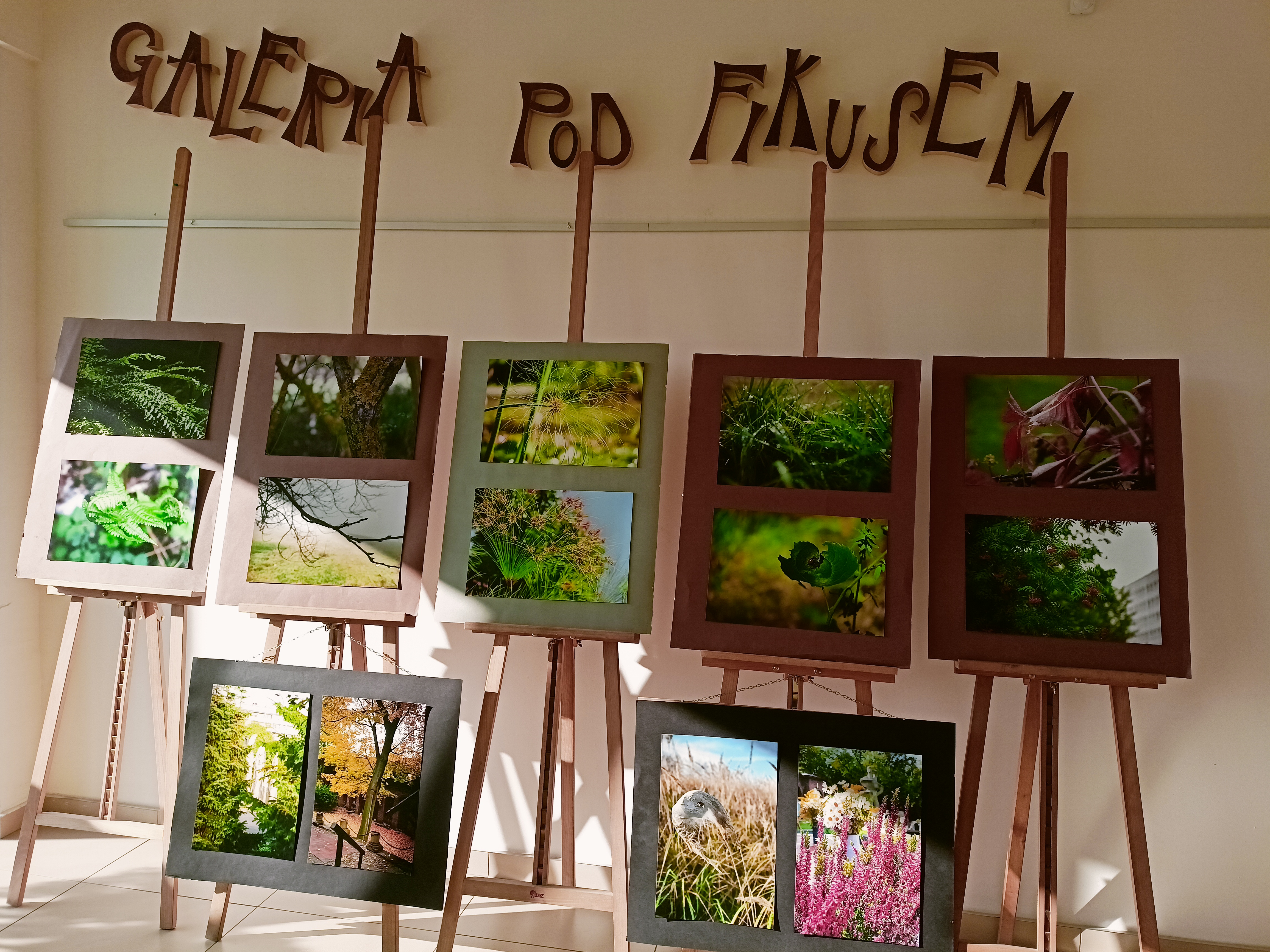 Ewa Madej - The Green Family