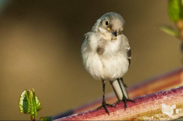 Wystawa fotografii Adama Kota