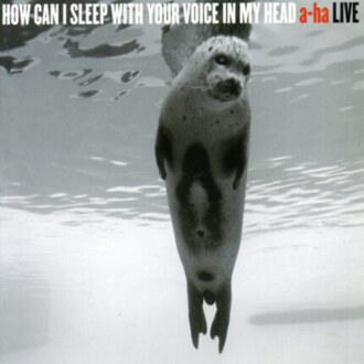 Zdjęcie do A-HA - How Can I Sleep With Your Voice In My Head - Live