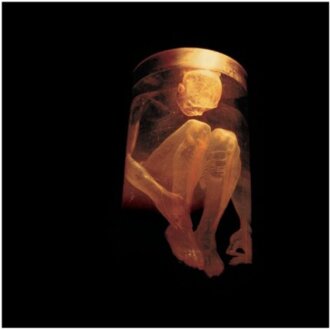 Zdjęcie do ALICE IN CHAINS - Nothing Safe - The Best Of