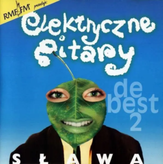 ELEKTRYCZNE GITARY - Sława. De Best 2. Okładka płyty