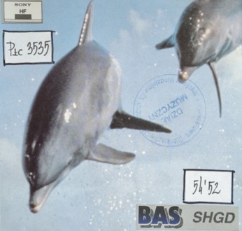 Zdjęcie do MUZYKA RELAKSACYJNA - Whale Song
