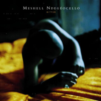 Zdjęcie do NDEGEOCELLO MESHELL  - Bitter