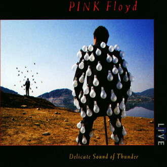 PINK FLOYD - Delicate Sound Of Thunder. Okładka płyty