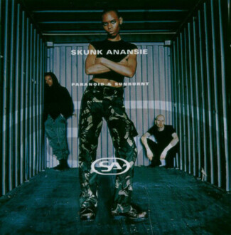 Zdjęcie do SKUNK ANANSIE  - Paranoid &amp; Sunburnt