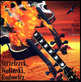 Zdjęcie do WORLD STRINGS TRIO - Live In Kiev