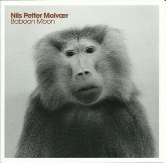 Zdjęcie do MOLVAER NILS PETER - Baboon Moon