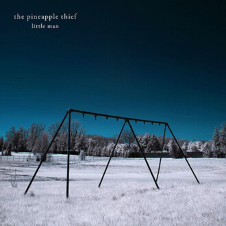 Zdjęcie do PINEAPPLE THIEF - Little Man