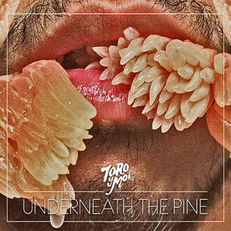 Zdjęcie do TORO Y MOI - Underneath The Pine