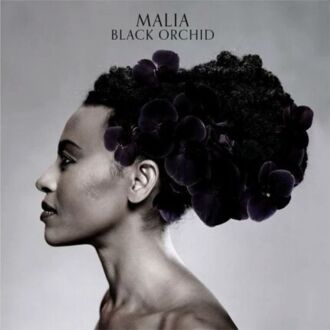 Zdjęcie do MALIA - Black Orchid