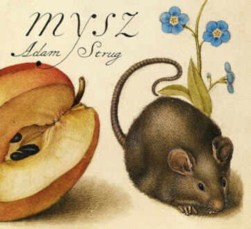 Zdjęcie do STRUG ADAM - Mysz