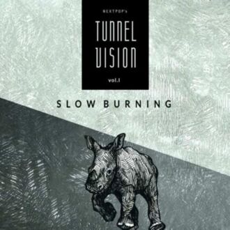 Zdjęcie do Nextpop&rsquo;s Tunnel Vision 1. Slow Burning