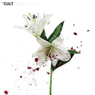 Zdjęcie do CULT - Hidden City